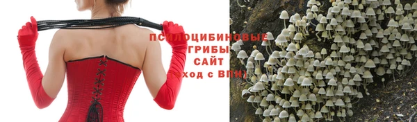 а пвп мука Арсеньев