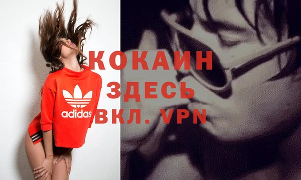 крисы Армянск