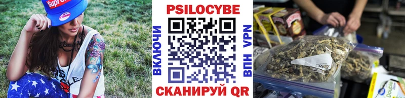 OMG ССЫЛКА  где купить   Салехард  Псилоцибиновые грибы Psilocybe 